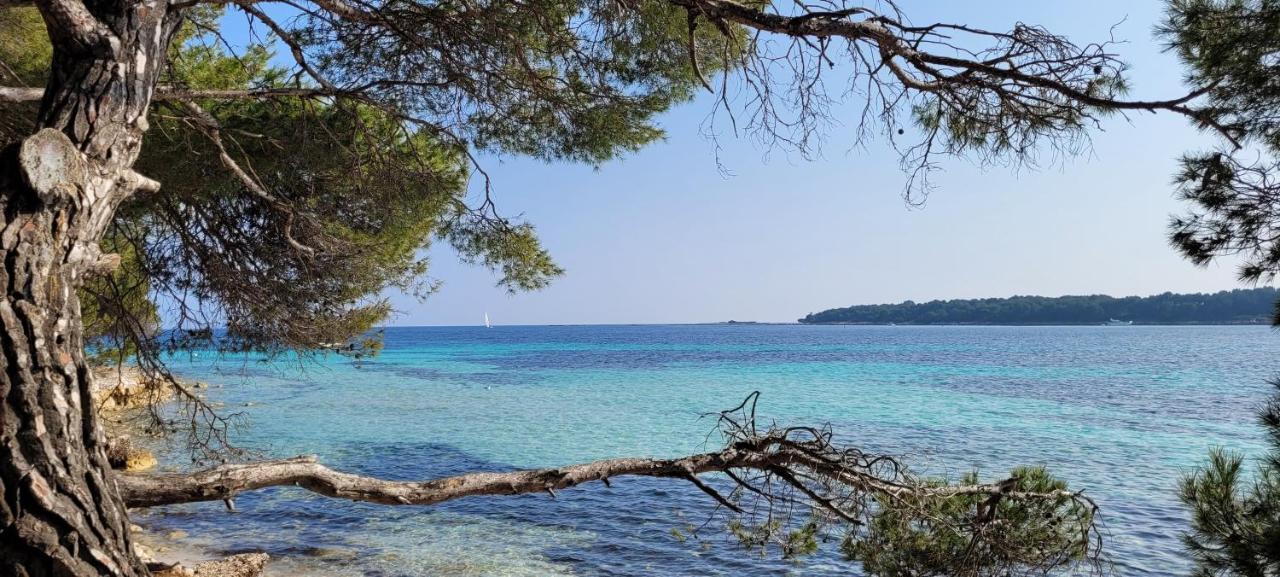 Les Grenadines Du Samedi Au Samedi Apartment Antibes Bagian luar foto